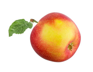 Red apple with leaf isolated on white background with clipping path