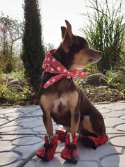 wonderful world around