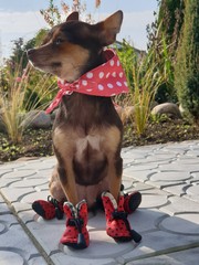 wonderful world around