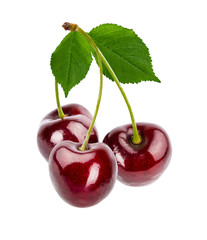 Cherryes with leaf isolated on white background with clipping path