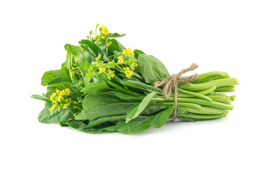 Fresh Chinese cabbage or Bok Choy isolated on white background with Clipping path.