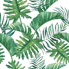 Tropical watercolor pattern with leaves on white background for design and decor.