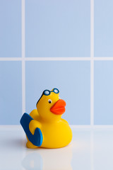 Yellow rubber duck with surfboard