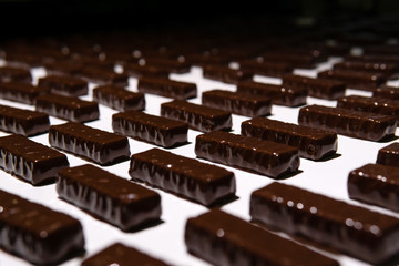 chocolate candies on the conveyor of a confectionery factory close-up