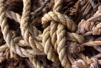 Rope and netting of commerical fishing nets