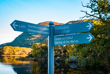 Direction signs for visitors on the trails of Killarney national park
