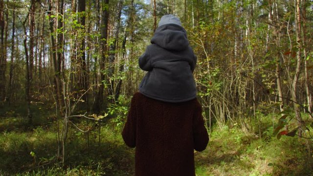 Baby sits on shoulders mother, they walk with dog in autumn forest