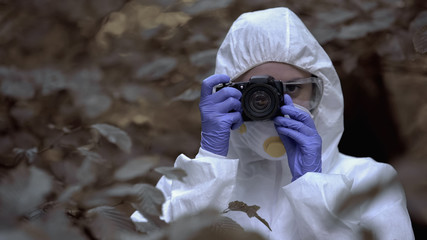 Fototapeta premium Researcher taking photos of infected plants in dangerous infected area, damage
