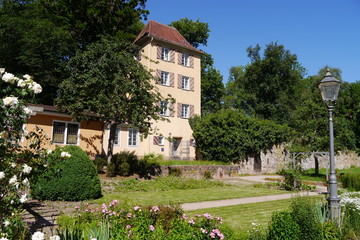 Fototapeta na wymiar Garten, Laterne und Elisabethenturm Villingen