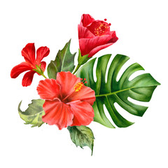 Watercolor bouquet with tropical flower and green leaves. Realistic colorful hibiscus and monstera.  © Nataliya Kunitsyna