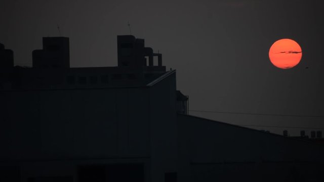 Unique footage of a large red sun visible as a beautiful big circle with a few small clouds in front of it and a bird flying past it, during an air polluted sunset, with city silhouette buildings.