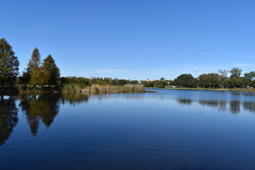 Obraz na płótnie Canvas sunny day on the lake. beautiful fall day on the lake. 