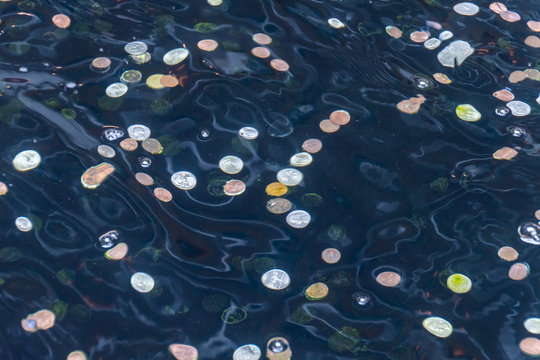 Discarded coins in clear fountain