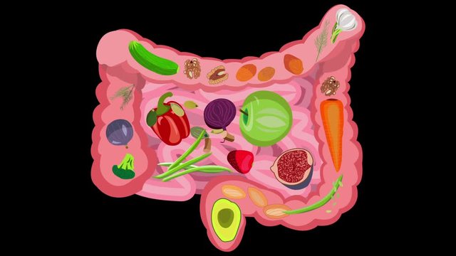 Healthy food for intestinal health. Video on a black background