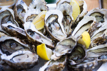 delicious oysters with lemon on the plate