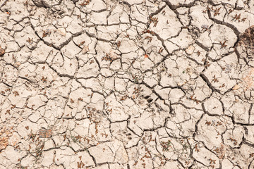 ground cracked by drought. .global warming and .drought concept.