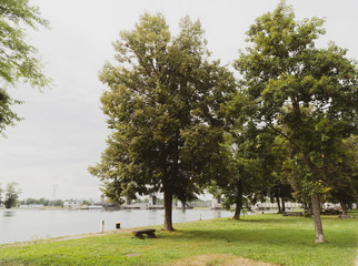 Le Rhin à Weil am Rhein. Au bord du Grand canal d'Alsace, face à la retenue de Märkt