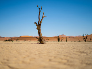 Dedvley Namibia