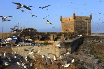 Port in Essaouira, Morocco - 297811934