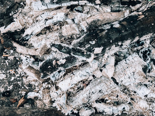 Coals, burnt wood. The remains of a tree burned in a fire. Coals and ashes close-up. Background with copy space