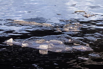 Ice floes in dark water