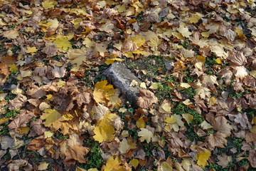 Concrete block covered with colorful fallen leaves in October