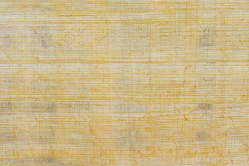 Texture of yellow natural old papyrus paper background