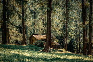 old hut in the forest, Dolomites