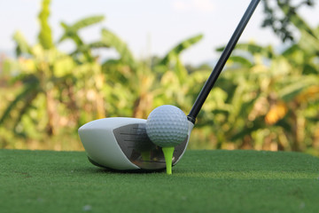 Golf club and golf ball close up in grass field with sunset.