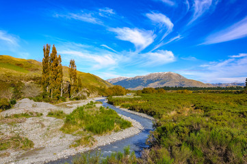 Fototapeta na wymiar New Zealand summer landscape with mountain range Green Field and Blue Sky, South Island, New Zealand