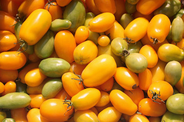 Background from tomato. Yellow tomatoes. Yellow background