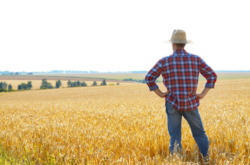 Farmer in straw hat stands at harvest ready wheat field