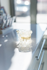 Teeth prosthesis in false jaw on the glass table in dentist cabinet