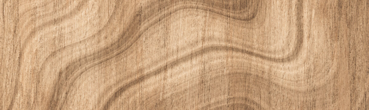 Brown wood texture background. Panorama wood surface with natural pattern.