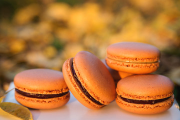 French macaroons over autumn nature background. Tasty desserts for Halloween, Thanksgiving day and birthday party.