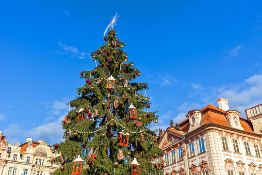 Christmas tree under blue sky in Prague.