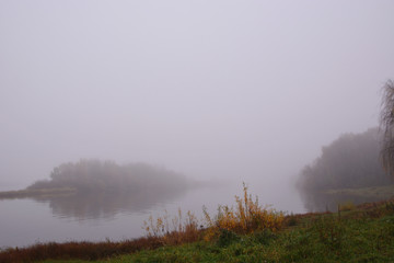 Yellow bush and autumn grass against the background of morning fog and the river. Autumn landscape
