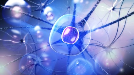 Conjugation of neural nerves of human brain