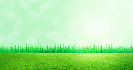 Obraz premium Green Natural Concept : Green grass natural meadow field with bokeh light in background.