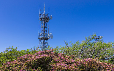 Detail view on Telecommunication and Television Towers inside Nature on the top of Mount Tsurumi. Beppu, Oita Prefecture, Japan.