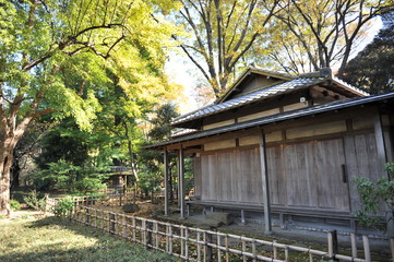 日本庭園の家屋と紅葉風景
