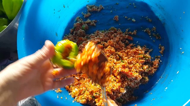 Woman hands preparing traditional turkish food dolma or sarma. Green bell pepper stuffed with rice and minced meat. Close up, 4k resolution. Different camera angles included.