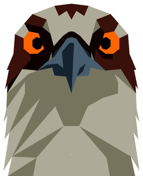 Geometric Osprey