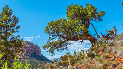 View from the mountain in Sedoa, America