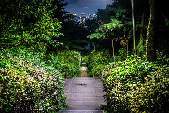 Path Down Namsan Mountain Park At Night In Seoul South Korea