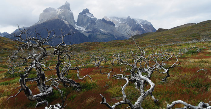 Cuernas del Paine