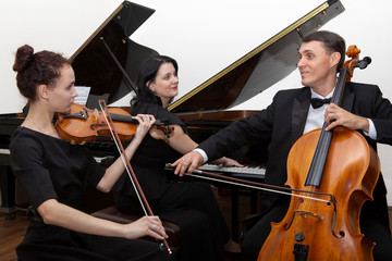 Musicians of the symphony orchestra. A young violinist and cellist play, the pianist accompanies...