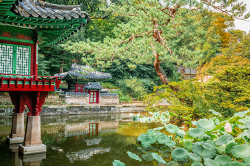Huwon secret garden view at Changdeokgung Palace with view of Buyongji pond and Buyongjeong...