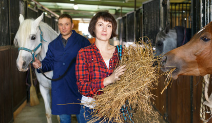 Positive female worker feeding horses