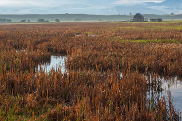 Rustic country barn in Montana